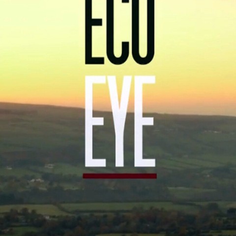 Eco Eye