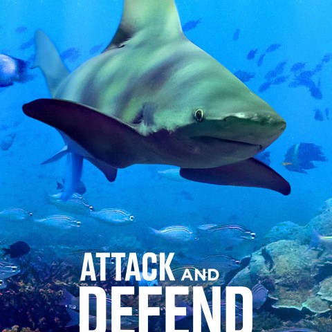 Attack and Defend