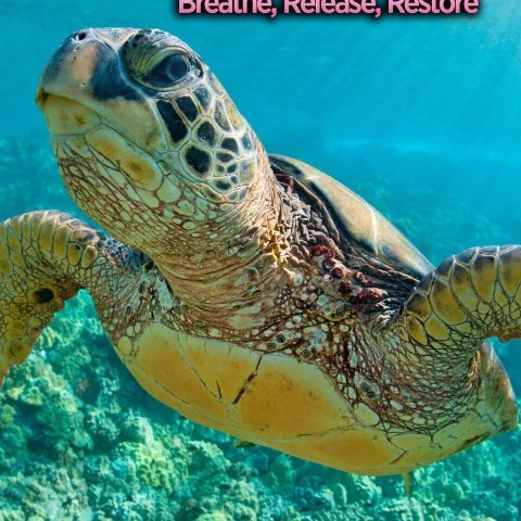 Mindful Escapes: Breathe, Release, Restore