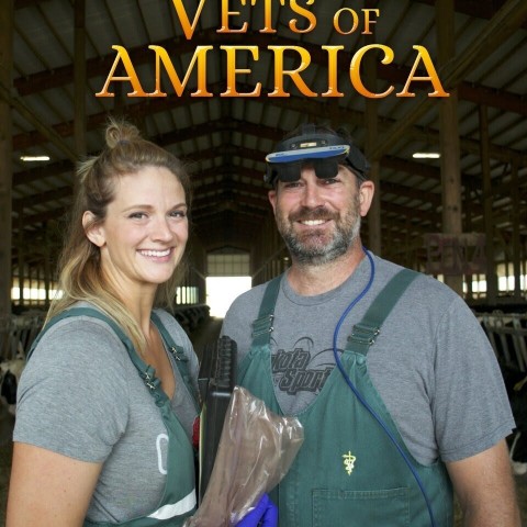 United Vets of America