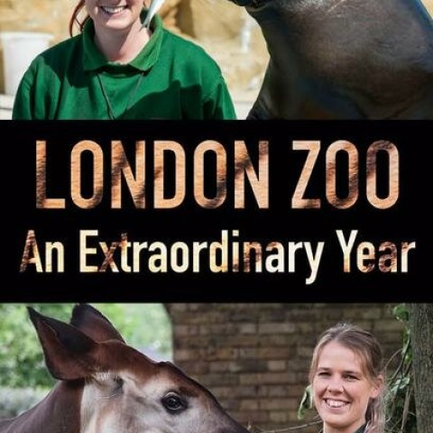 London Zoo: An Extraordinary Year
