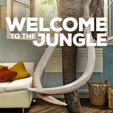 Welcome to the Jungle