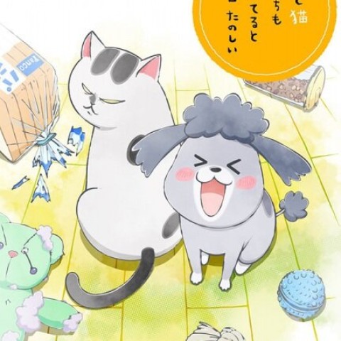 Inu to Neko Docchi mo Katteru to Mainichi Tanoshii