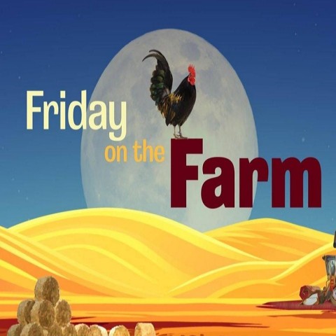Friday on the Farm