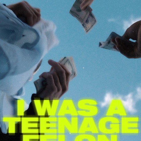 I Was a Teenage Felon
