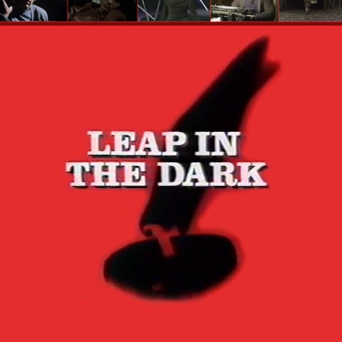 Leap in the Dark