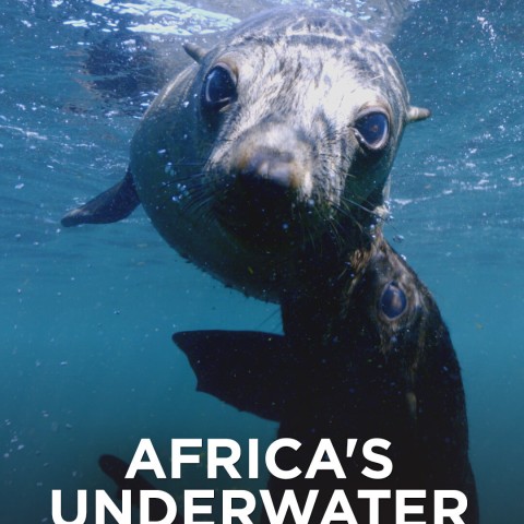 Africa's Underwater Wonders