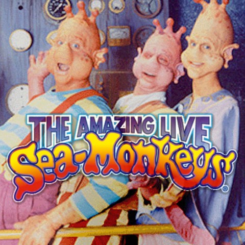 The Amazing Live Sea-Monkeys