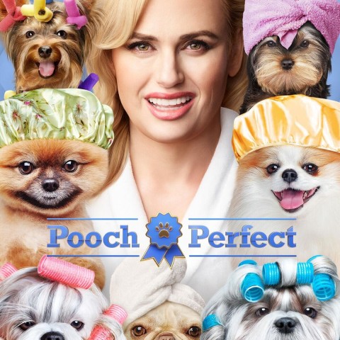 Pooch Perfect