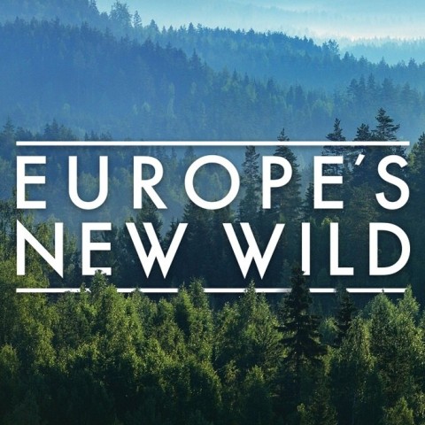 Europe's New Wild