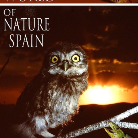 The Secret World of Nature: Spain