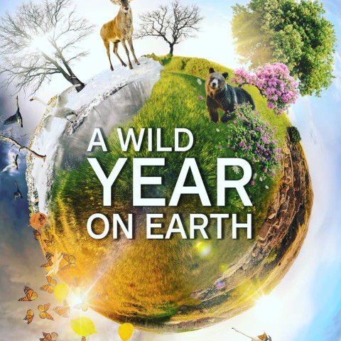 A Wild Year on Earth