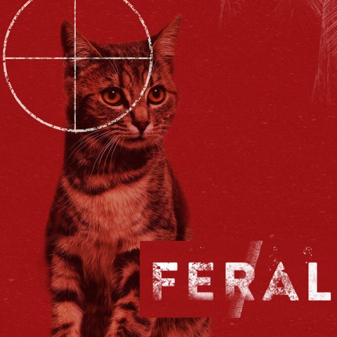 Feral