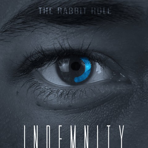 INDEMNITY: The Rabbit Hole