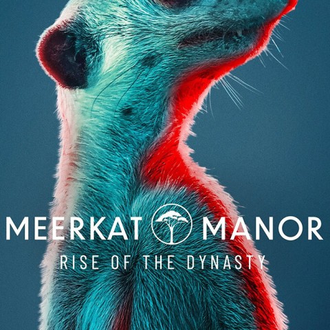 Meerkat Manor: Rise of the Dynasty