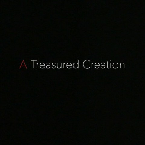 A Treasured Creation