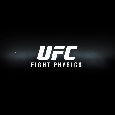 UFC Fight Physics
