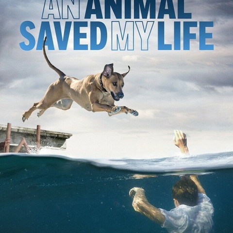 An Animal Saved My Life