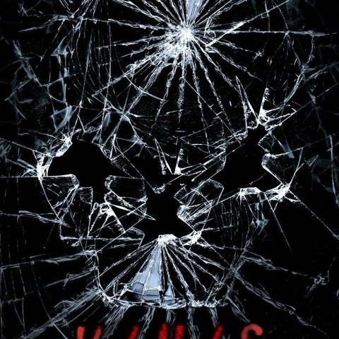 V/H/S