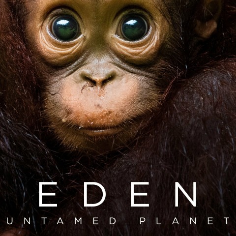 Eden: Untamed Planet