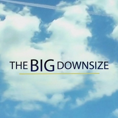 The Big Downsize