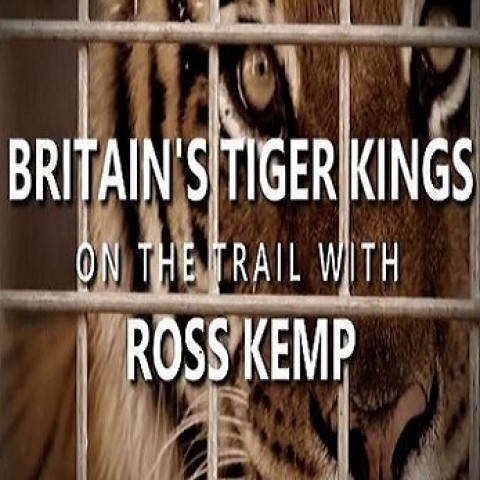Britain's Tiger Kings - On the Trail with Ross Kemp