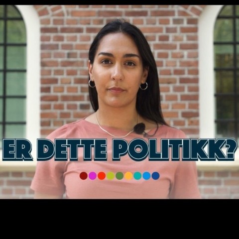 Er dette politikk?