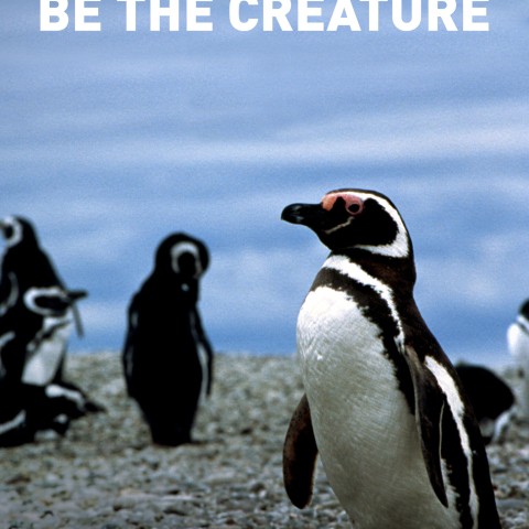 Be the Creature