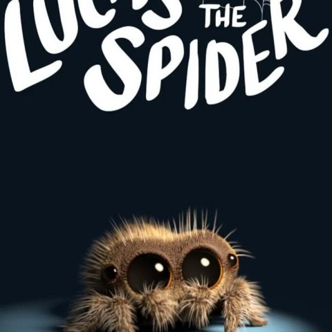 Lucas the Spider