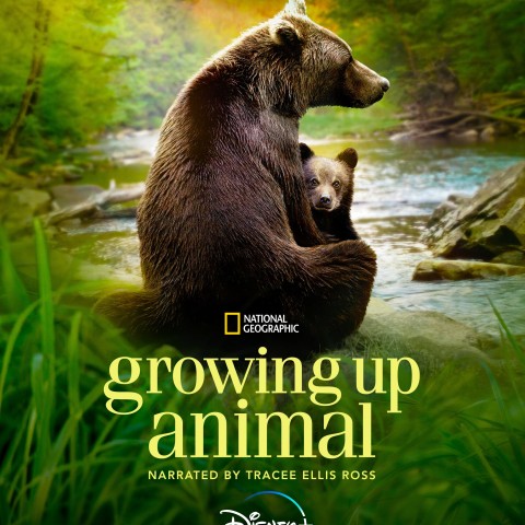 Growing Up Animal