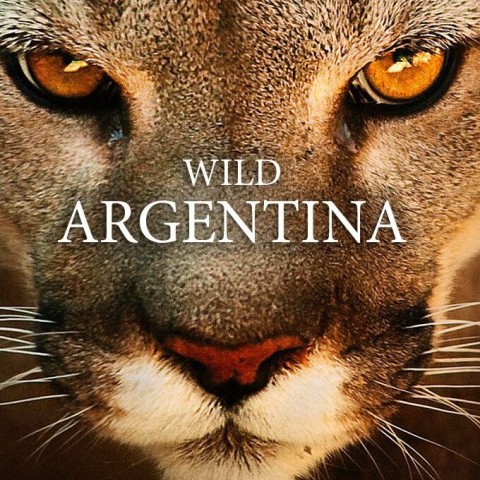 Wild Argentina