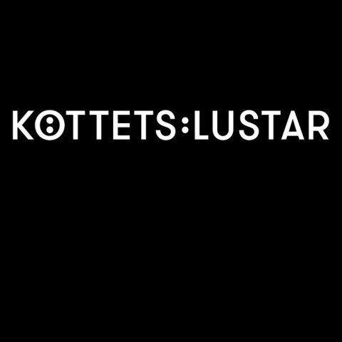 Köttets lustar