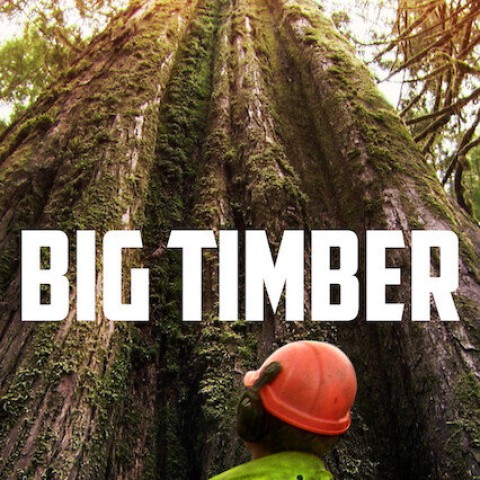 Big Timber