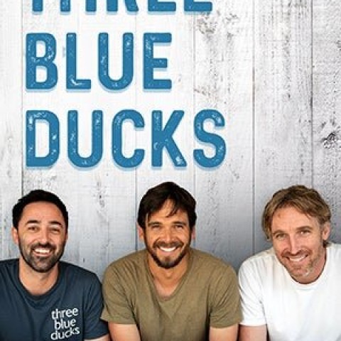 Three Blue Ducks