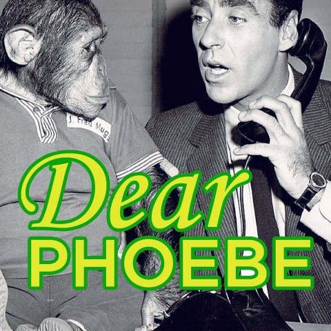 Dear Phoebe