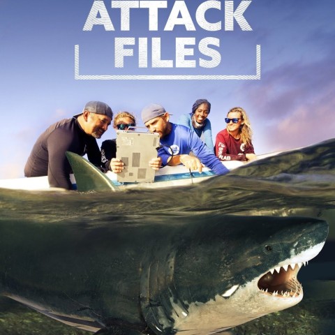 Shark Attack Files