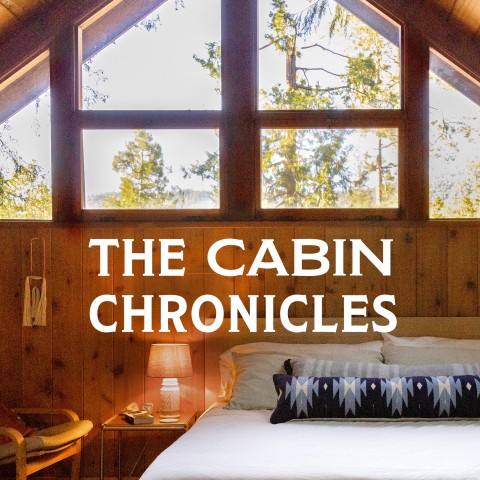 The Cabin Chronicles