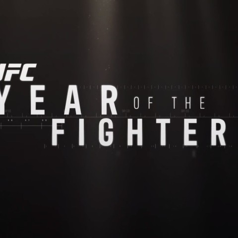 Year of the Fighter