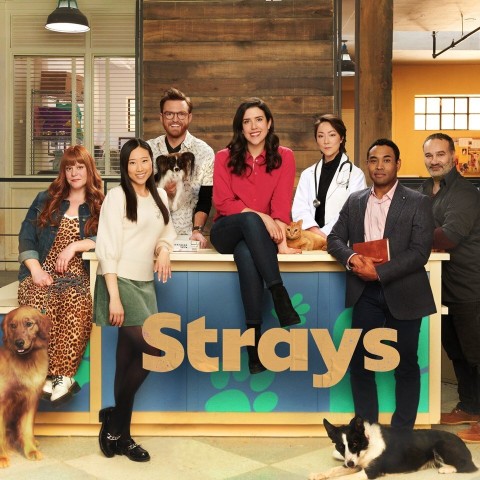 Strays