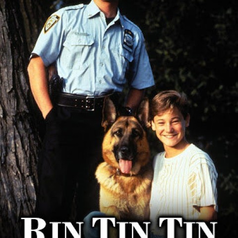 Katts and Dog