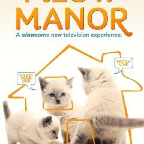 Meow Manor
