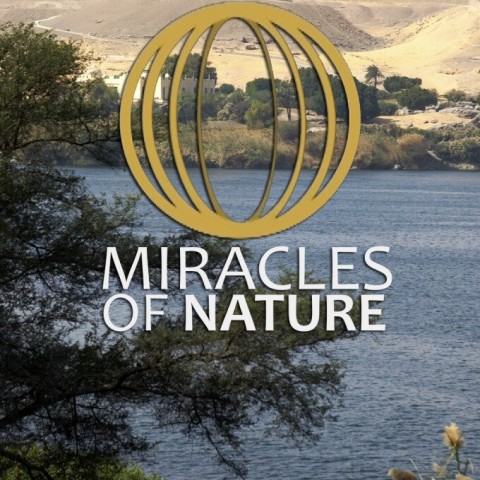 Miracles of Nature