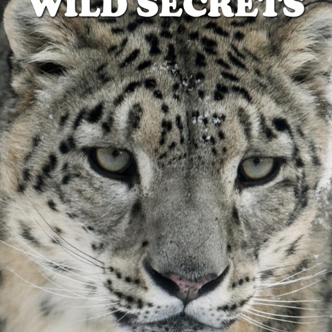 Asia's Wild Secrets