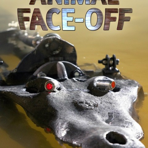 Animal Face-Off