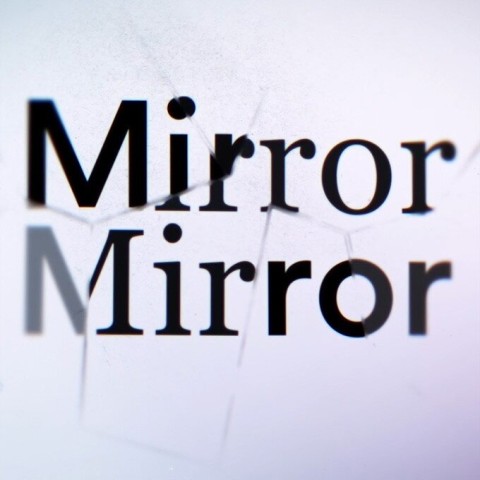 Todd Sampson's Mirror Mirror