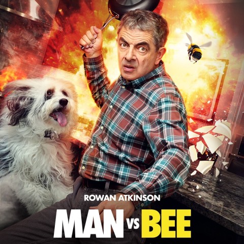 Man Vs Bee