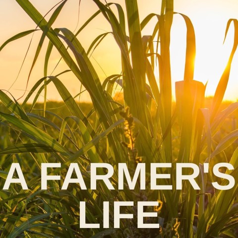 A Farmer's Life