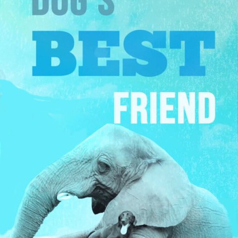 Dog's Best Friend