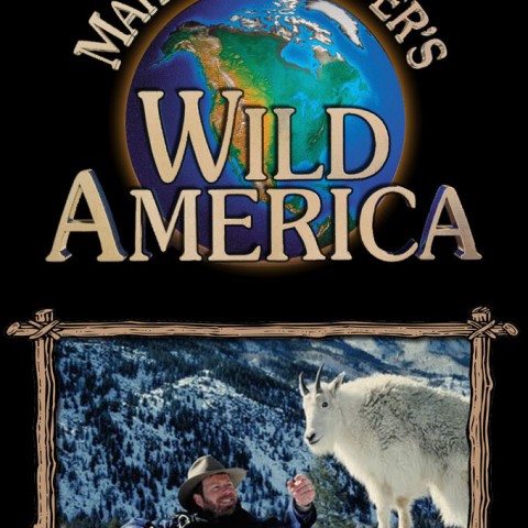 Marty Stouffer's Wild America