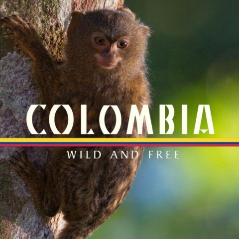 Colombia: Wild and Free